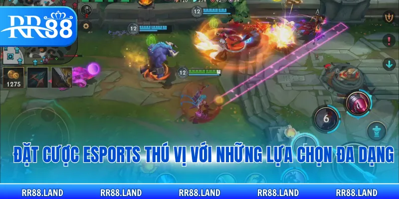 Đặt cược Esports thú vị với những lựa chọn đa dạng