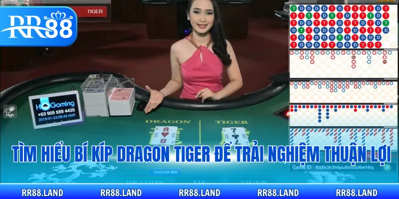 Tìm hiểu bí kíp Dragon Tiger để trải nghiệm thuận lợi